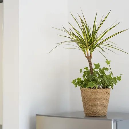 Astarita House Relax E Comfort In Apartment Corralejo